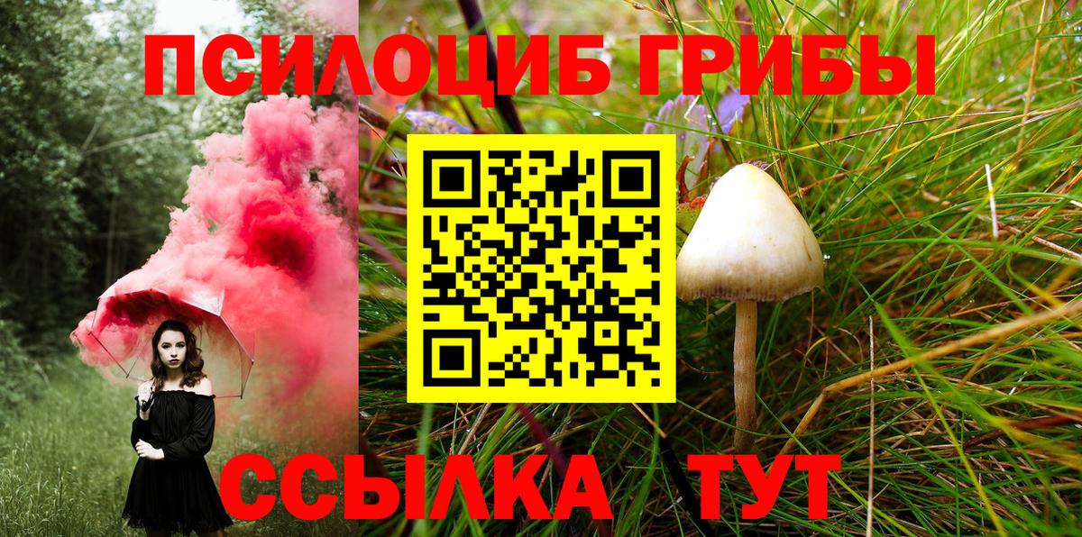 Псилоцибиновые грибы ЛСД  хочу   Кострома  Вход с VPN 